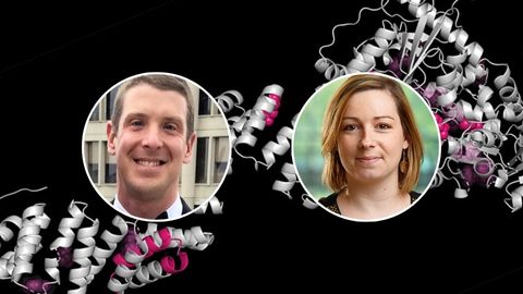 Glyco get-together exploring health and disease
