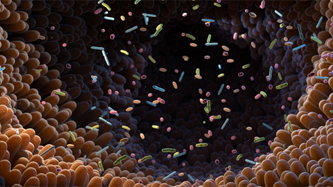 New mass spectrometry tool accurately identifies bacteria