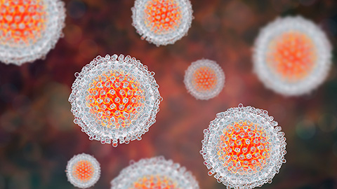The remaining frontiers in fighting hepatitis C